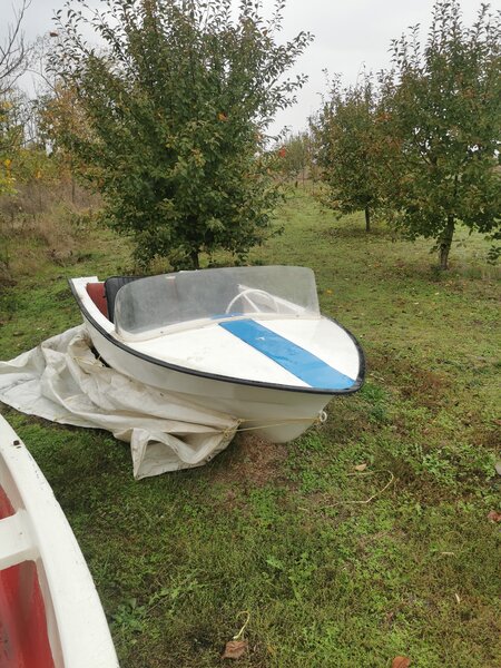 Barci fibra aduse acum Germania preturi de la 800 euro la 5